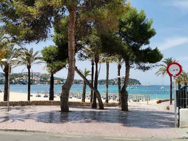 Der Sandstrand von Santa Ponsa